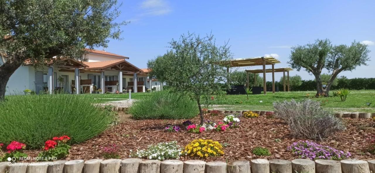 Residence La Pace - Pool & Relax Marina di Grosseto Luaran gambar