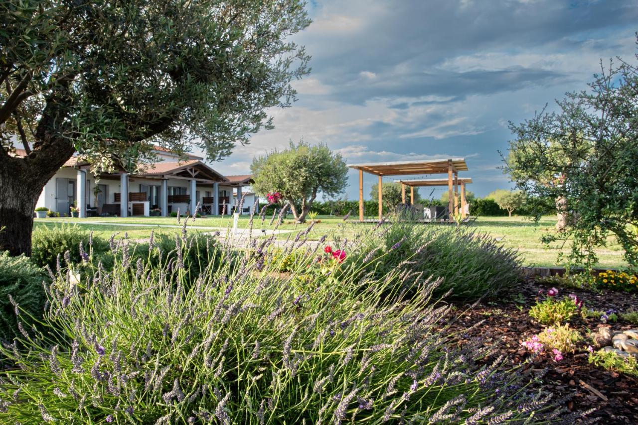 Residence La Pace - Pool & Relax Marina di Grosseto Luaran gambar