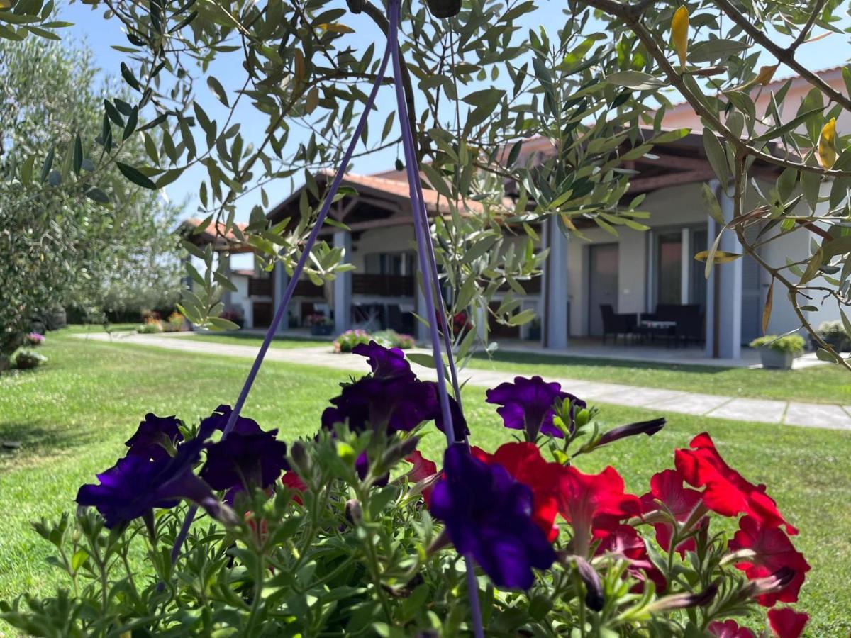 Residence La Pace - Pool & Relax Marina di Grosseto Luaran gambar
