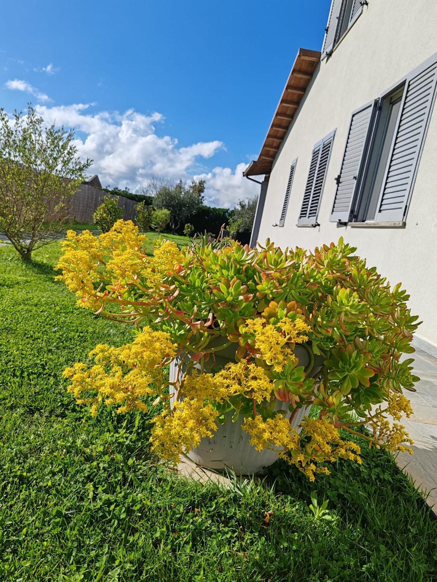 Residence La Pace - Pool & Relax Marina di Grosseto Luaran gambar