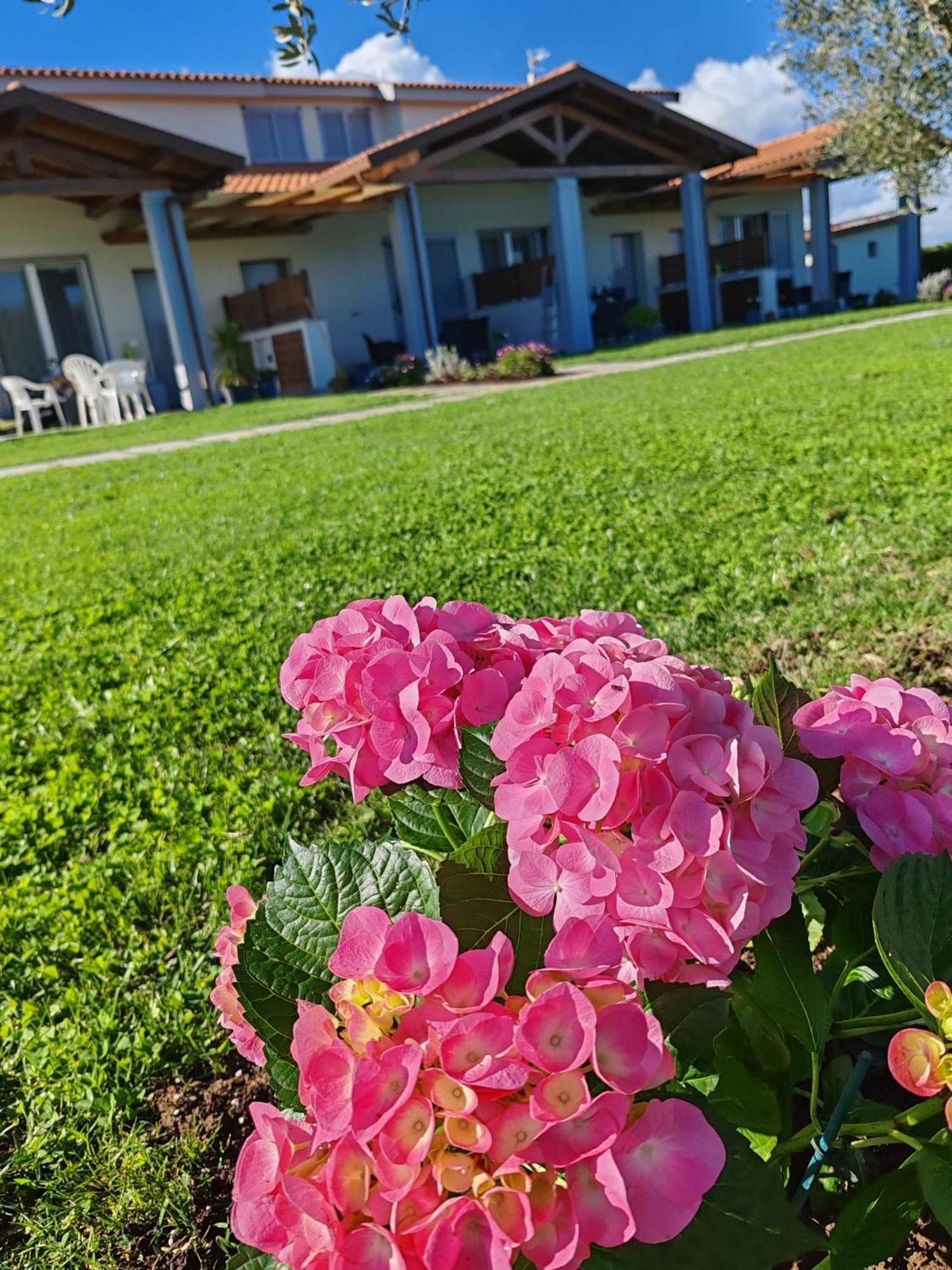 Residence La Pace - Pool & Relax Marina di Grosseto Luaran gambar
