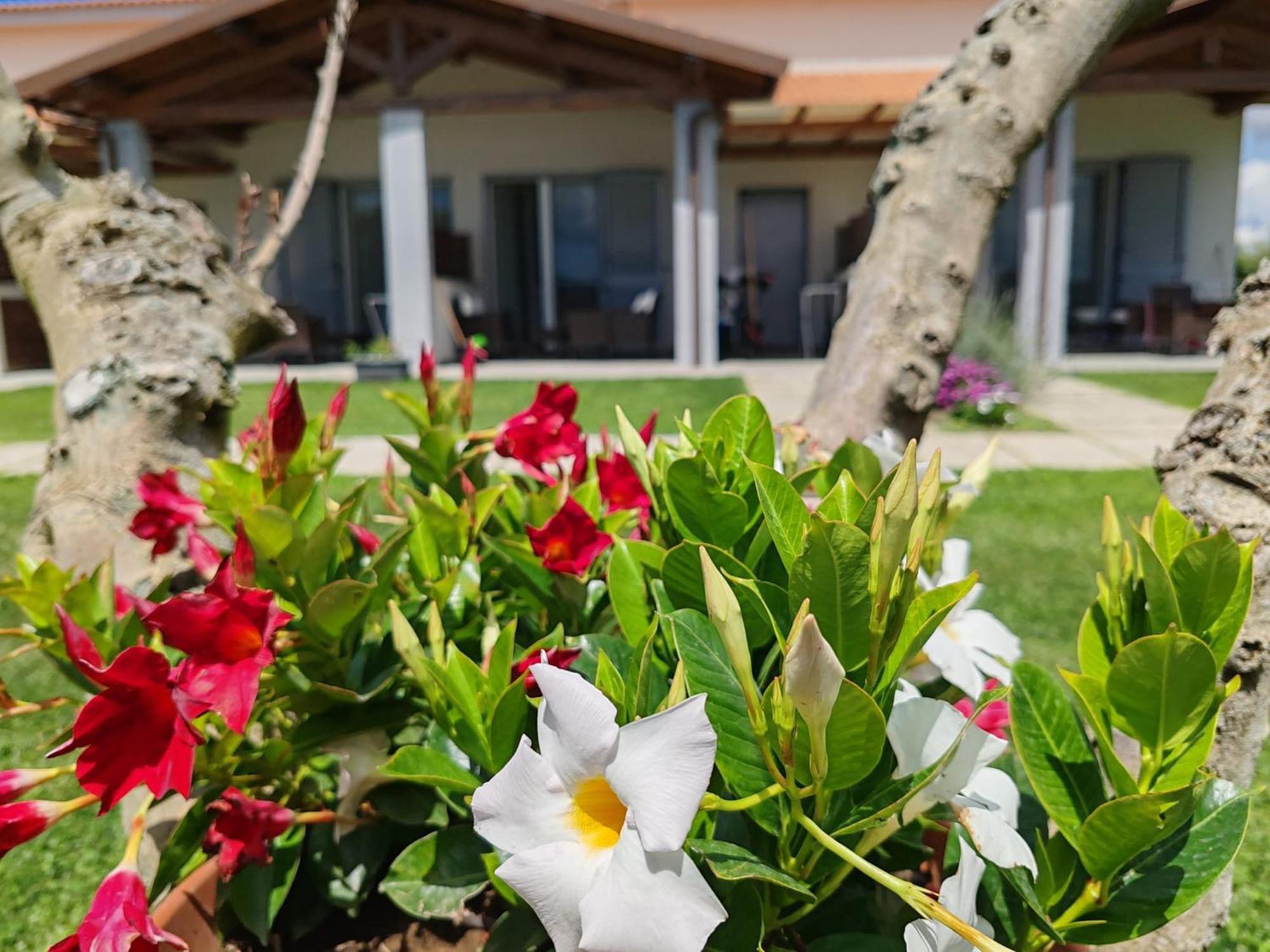 Residence La Pace - Pool & Relax Marina di Grosseto Luaran gambar
