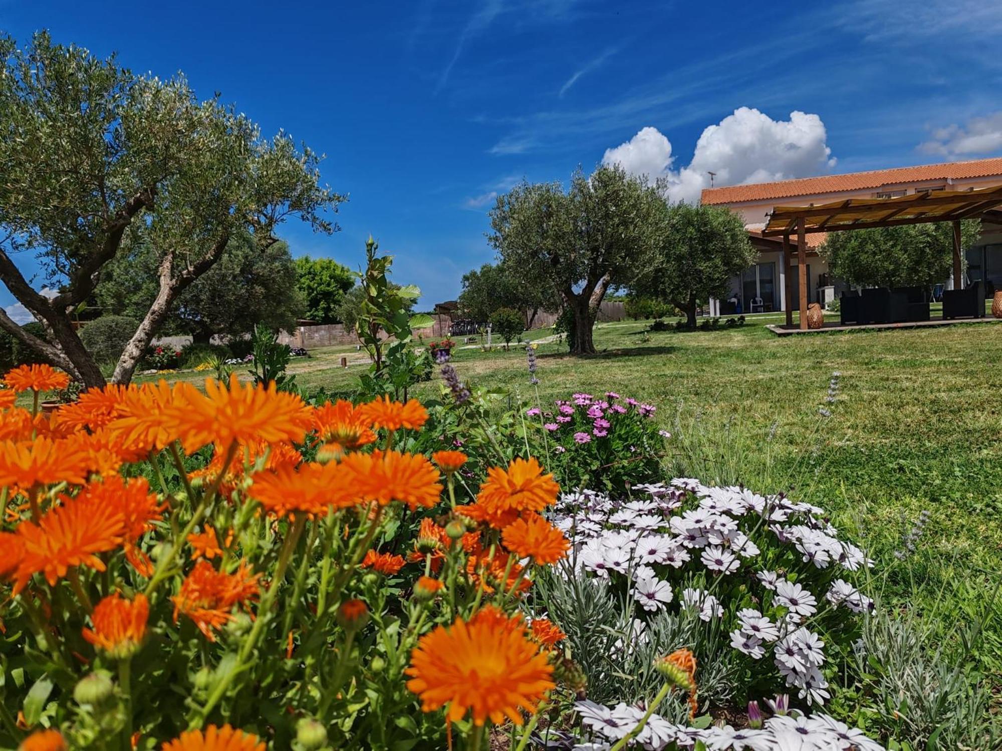Residence La Pace - Pool & Relax Marina di Grosseto Luaran gambar