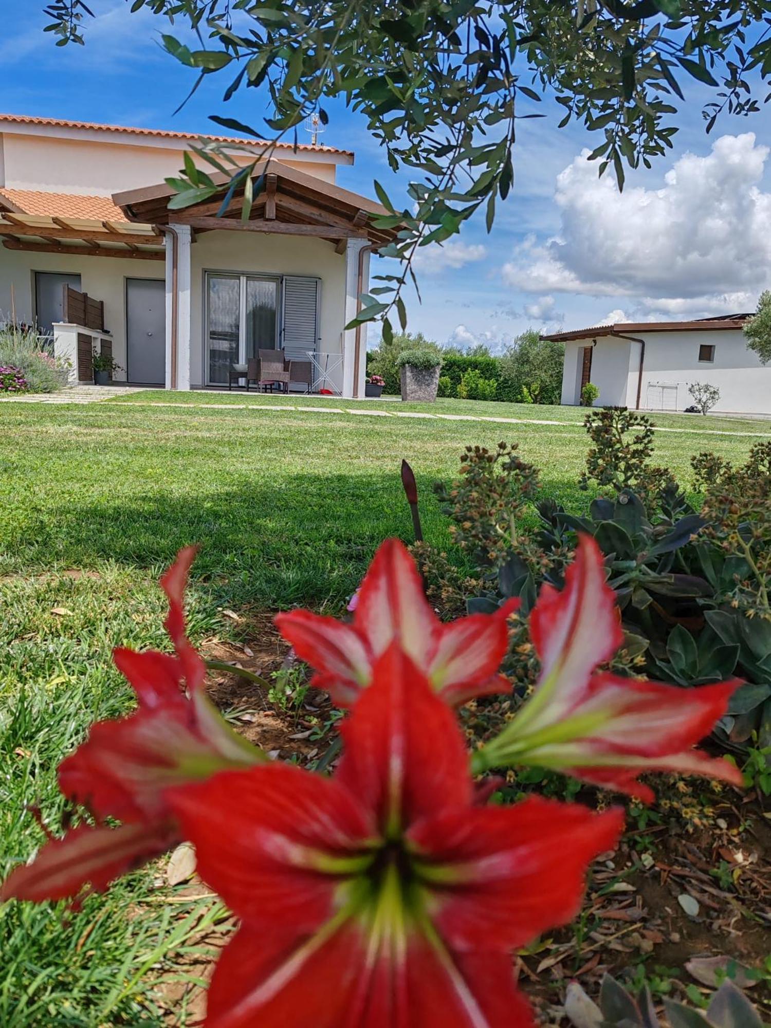 Residence La Pace - Pool & Relax Marina di Grosseto Luaran gambar